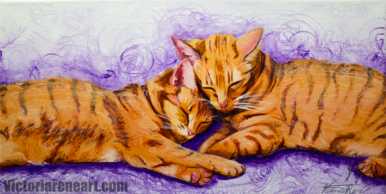 Kitty Cuddle
