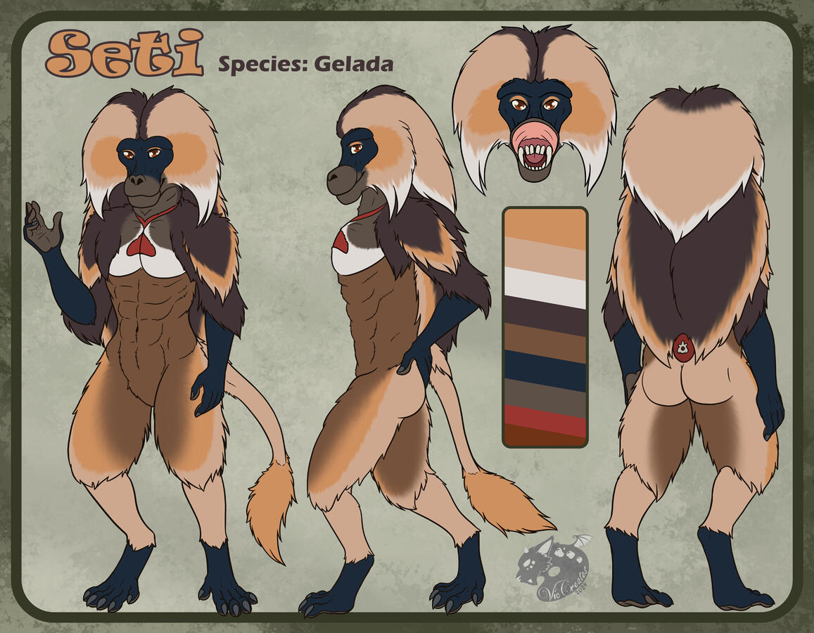 Seti Reference Sheet