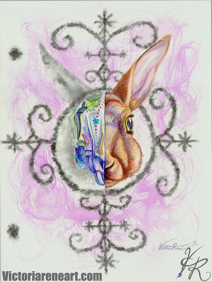 Rabbit Veve