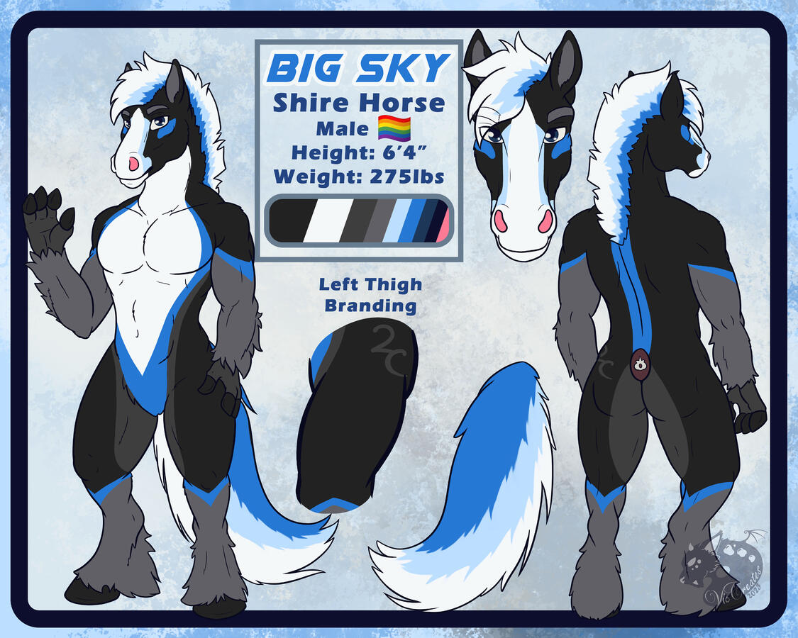 Big Sky Reference Sheet